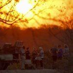 7 Day Kruger Park & Victoria Falls Luxury Safari