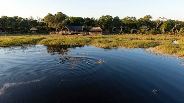 4 Day Sable Alley via Kasane Botswana Safari Tour
