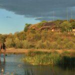 7 Day Kruger Park & Victoria Falls Luxury Safari