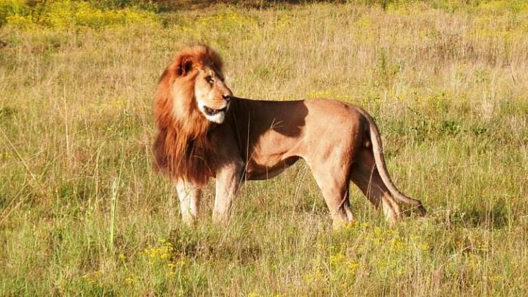 5 Day Garden Route Adventure