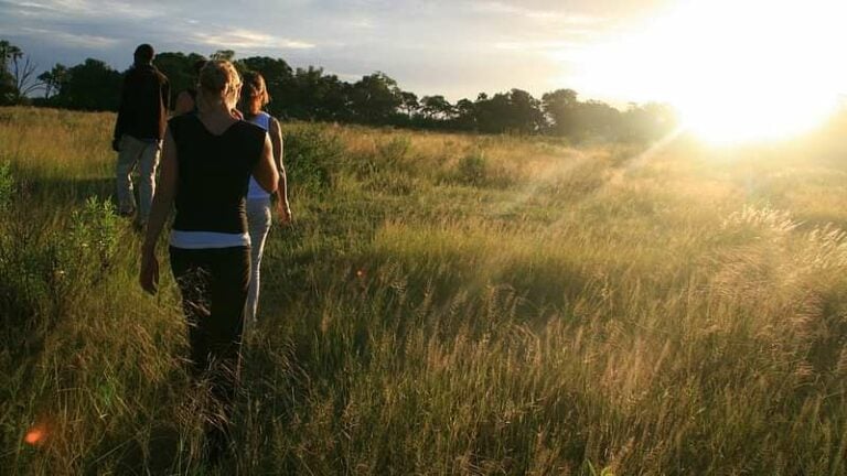4 Day Okavango Safari Tour