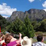 Cape Town City tour to Table Mountain