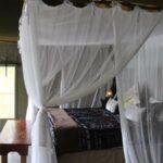 4 Day Katekani Tented Lodge Safari