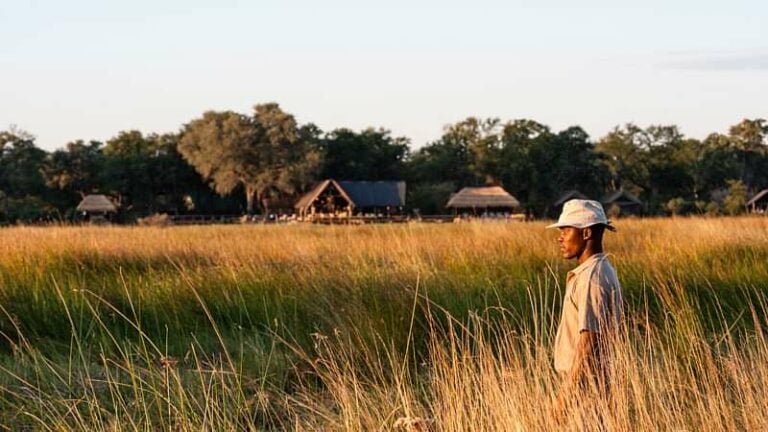 4 Day Sable Alley via Kasane Botswana Safari Tour