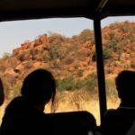 Ultimate Pilanesberg Open Vehicle Day Tour