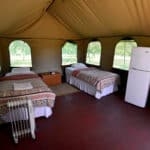 2 Day Camping Adventure Pilanesberg