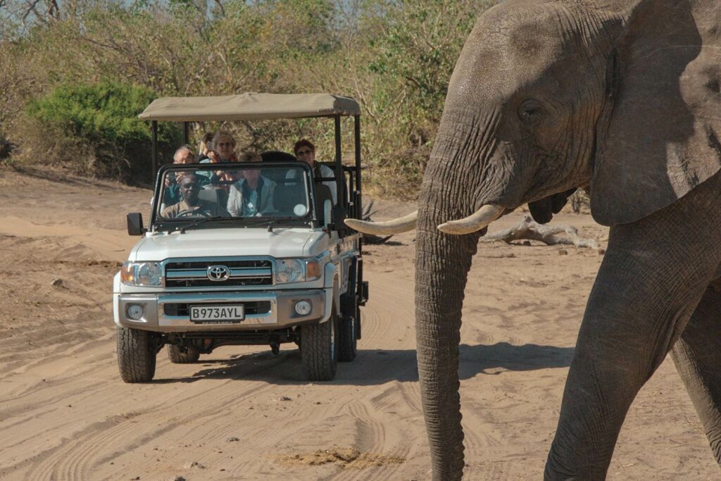 7 Day Kruger Park & Victoria Falls Budget Safari