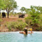3 Day Imbali Lodge Safari Tour