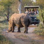 4 Day Kruger Tremisana Lodge Safari