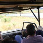 Ultimate Pilanesberg Open Vehicle Day Tour