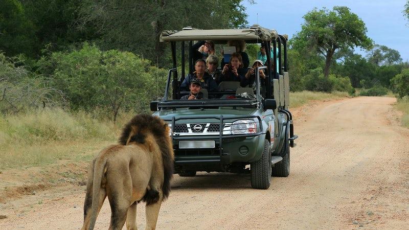 3 Day Kruger Budget Tented Safari