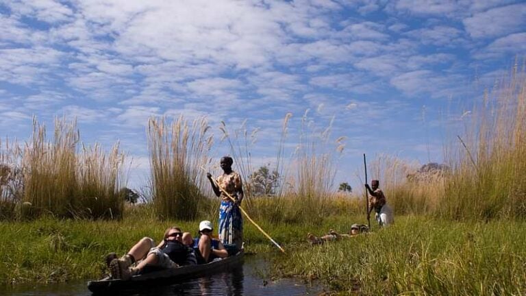 4 Day Botswana Safari Tour
