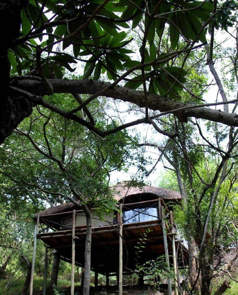3 Day Kruger Park Tree House Safari