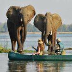 Upper Zambezi Canoe Safari