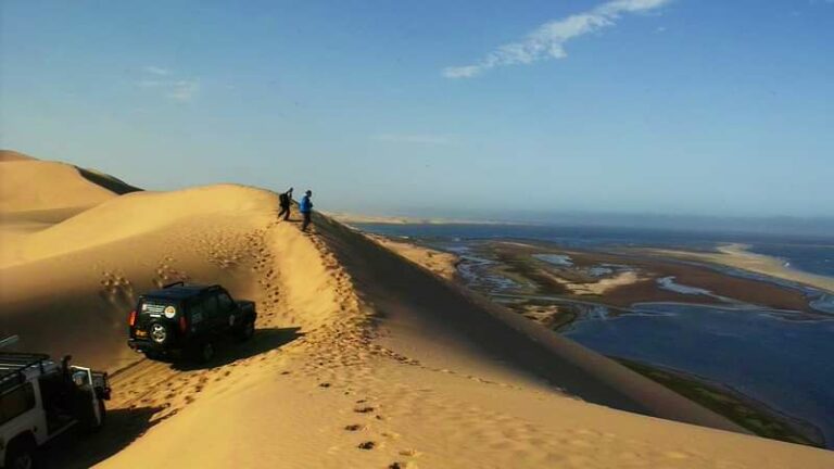 Half Day Sandwich Harbour and Desert Tour