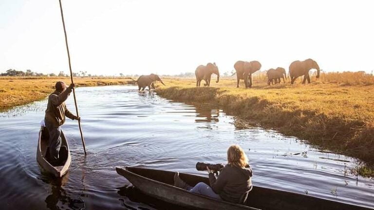 5 Day Xacaba and Mboma Islands Safari