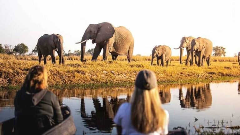 3 Nights Mboma Island Camp & 2 Nights Camp Savuti