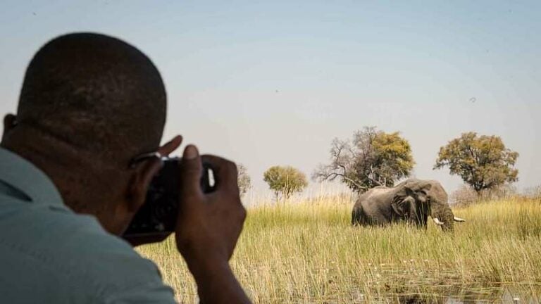 3 Nights Mboma Island Camp & 2 Nights Camp Savuti