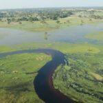 5 Day Okavango Safari Tour