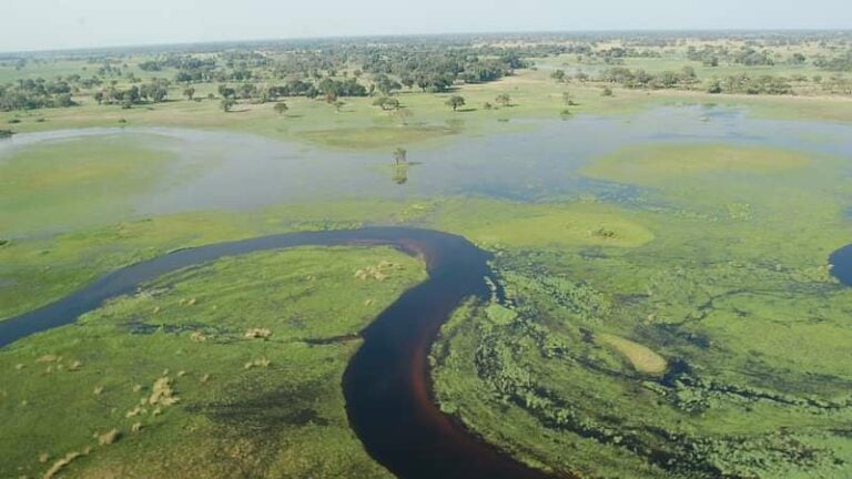 5 Day Okavango Safari Tour