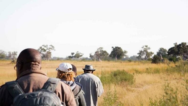 5 Day Xacaba and Mboma Islands Safari