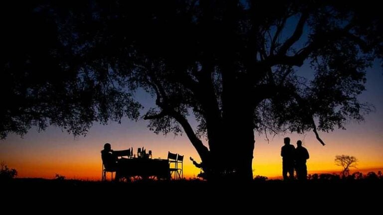 Lush Safari Lodge