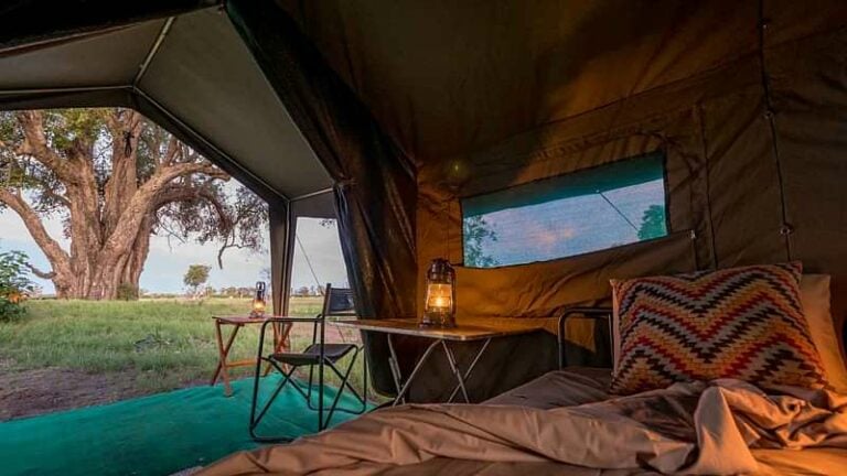 3 Nights Mboma Island Camp & 2 Nights Camp Savuti