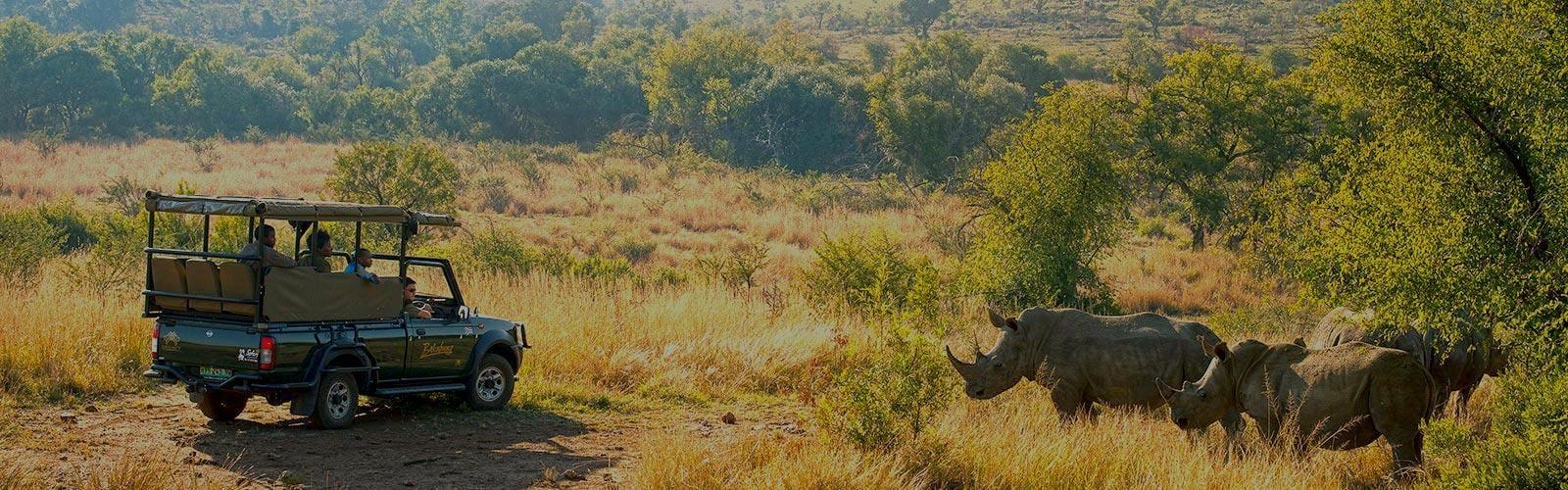 50+ Pilanesberg National Park Facts (You Never Knew)