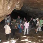Cradle of Humankind & Sterkfontein Caves Tour cave