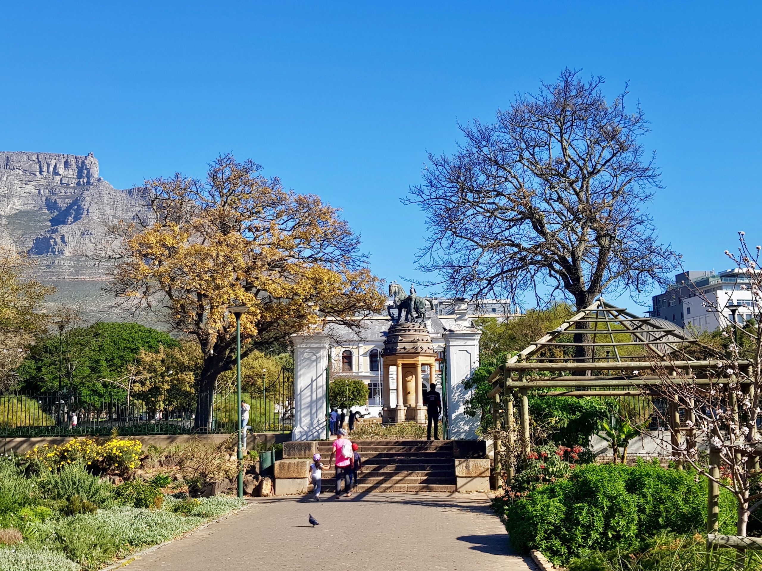 full day tour cape town