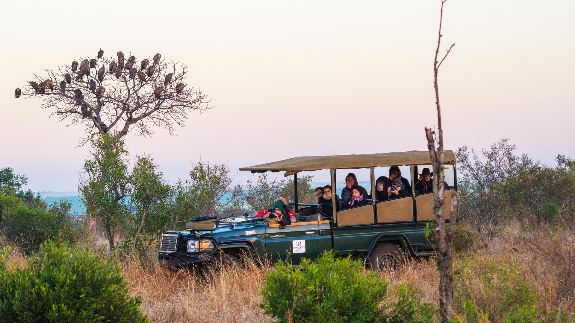 Zambezi National Park safari excursion