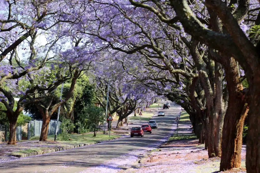 Pretoria Day Tours