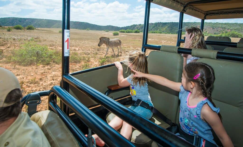 Family Safaris