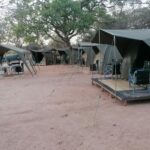 4-Day Camping Kruger Safari