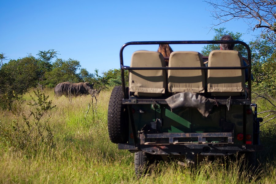 Private Pilanesberg National Park Safari Tours