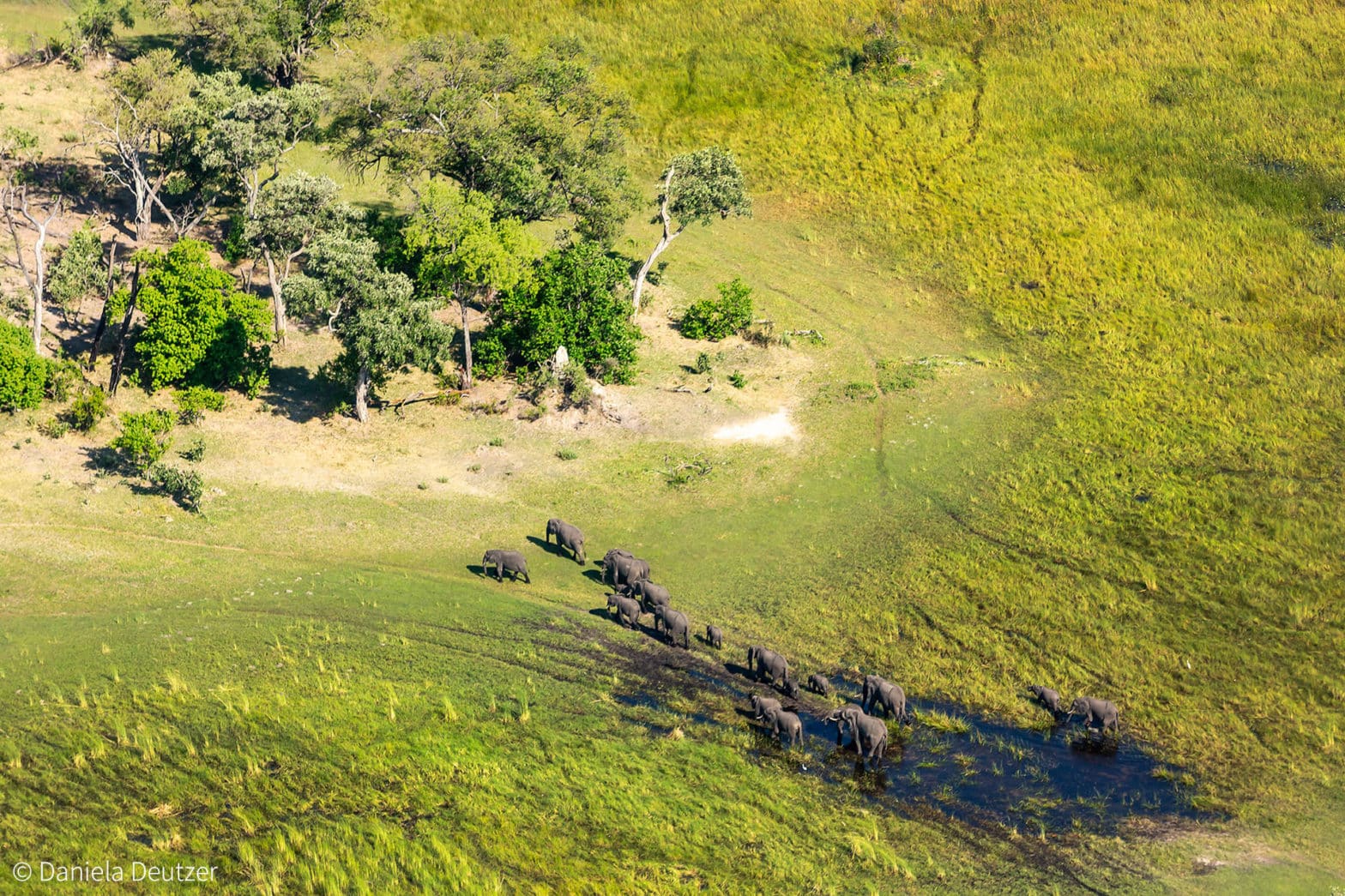 5 Day Luxury Botswana Safaris