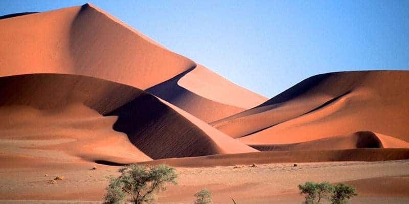 5 Day Budget Namibia Safaris