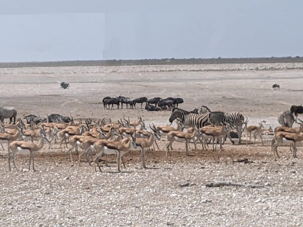 Etosha National Park