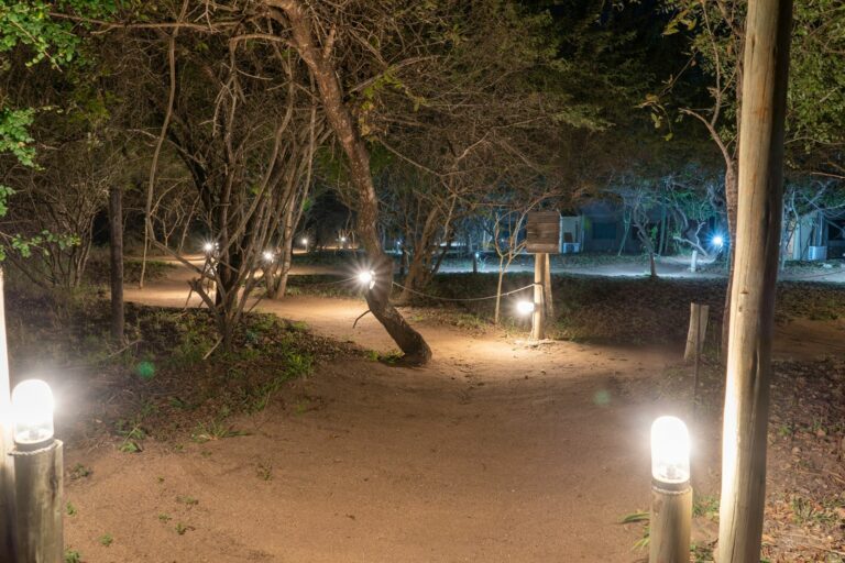 5-Day Ultra Budget Dumela Tented Camp