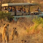 10 Day Ultra Budget South Africa Tour