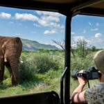 10 Day Ultra Budget South Africa Tour