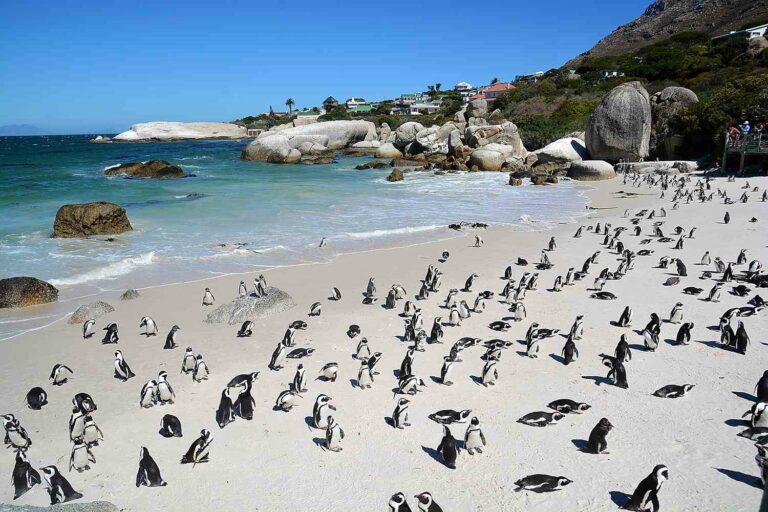 10 Day Ultra Budget South Africa Tour