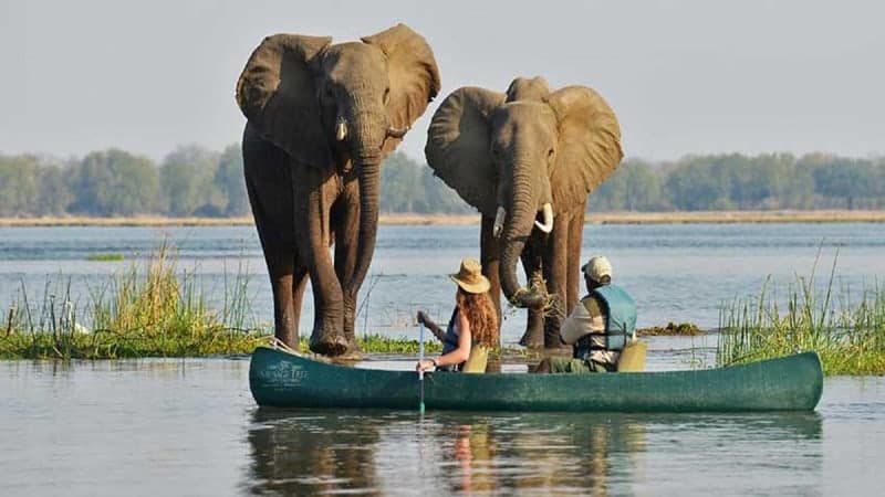 Vic Falls Honeymoon Packages Vic Falls Honeymoon Packages