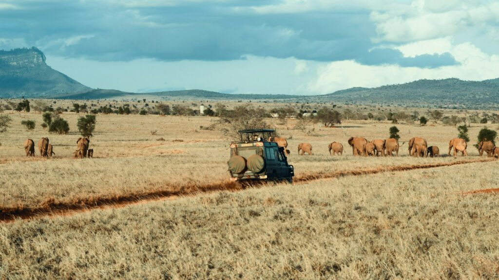 Kruger Private Transfers