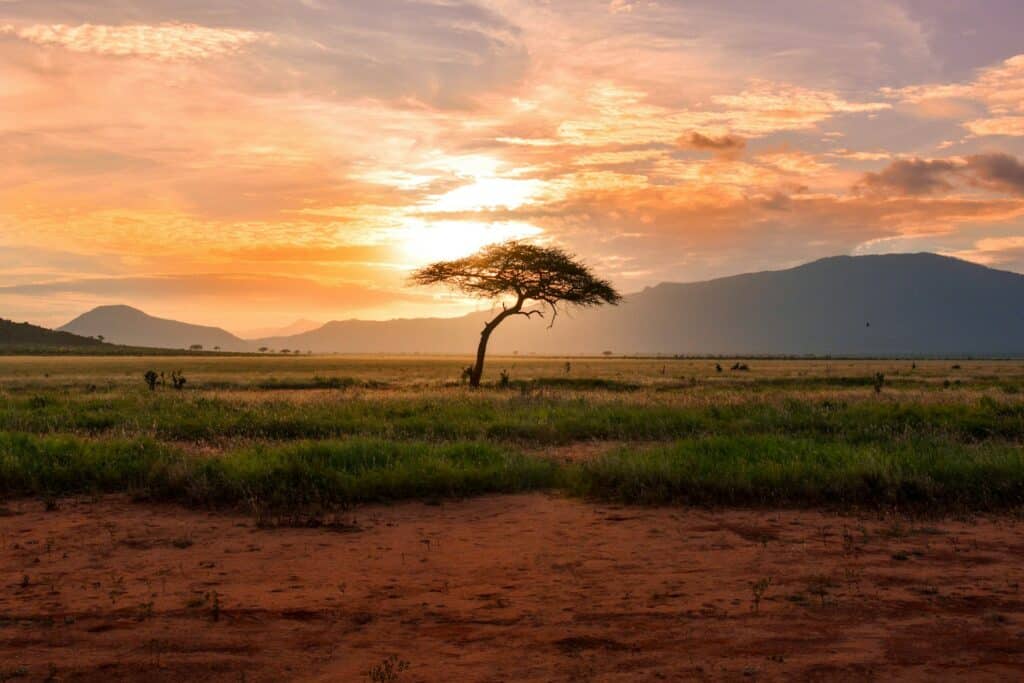 Pilanesberg Private Transfers