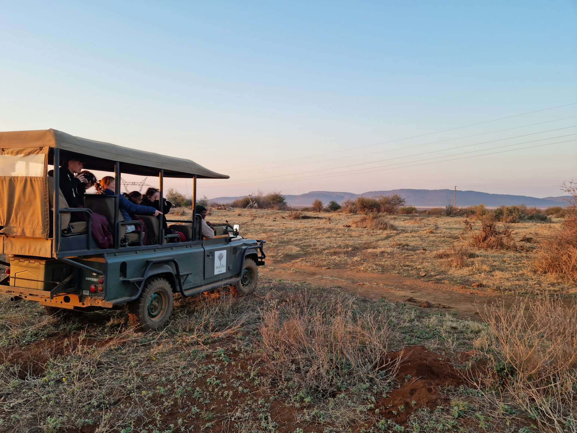 Timbavati Safaris