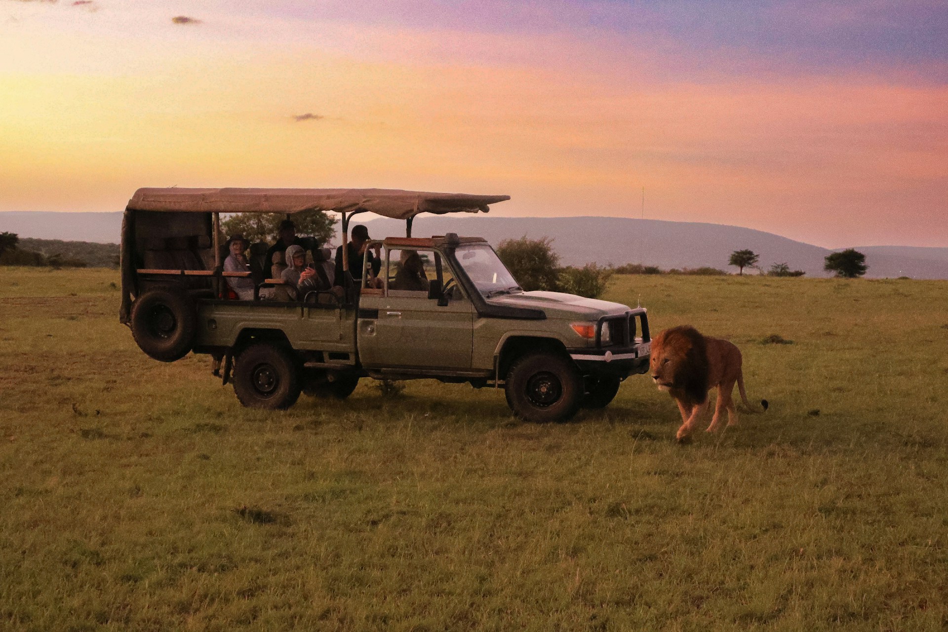 Timbavati Private Nature Reserve