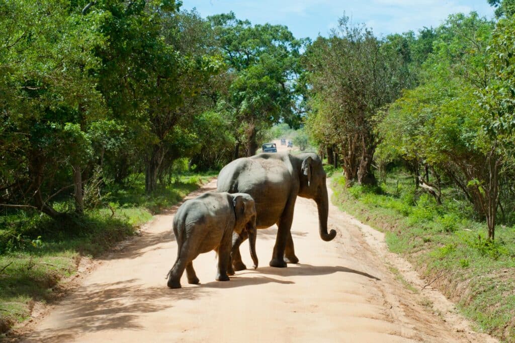 KAPAMA PRIVATE GAME RESERVE