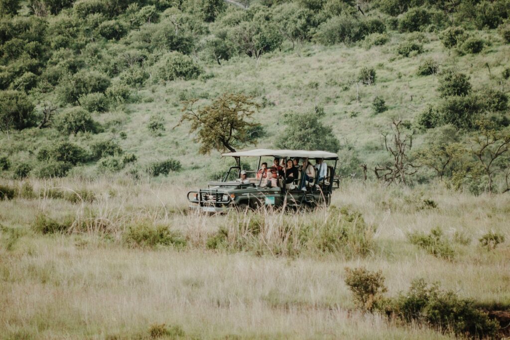 Selati Safaris