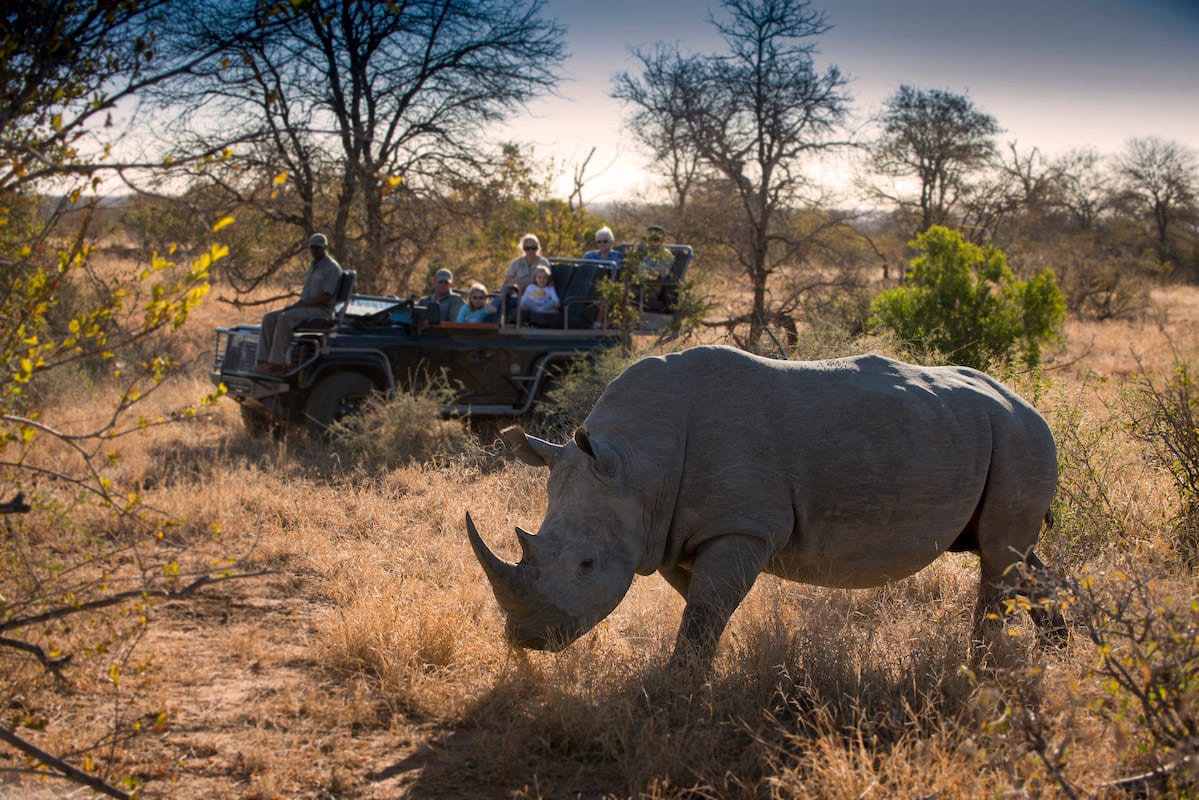 3-Day Luxury Timbavati Rockfig Safari Lodge